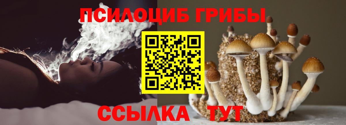 Галлюциногенные грибы MAGIC MUSHROOMS  Галлюциногенные грибы Psilocybe  Чита  купить закладку  Вход с VPN 